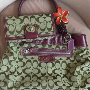 Stylish Olive and Burgundy Women's Bag